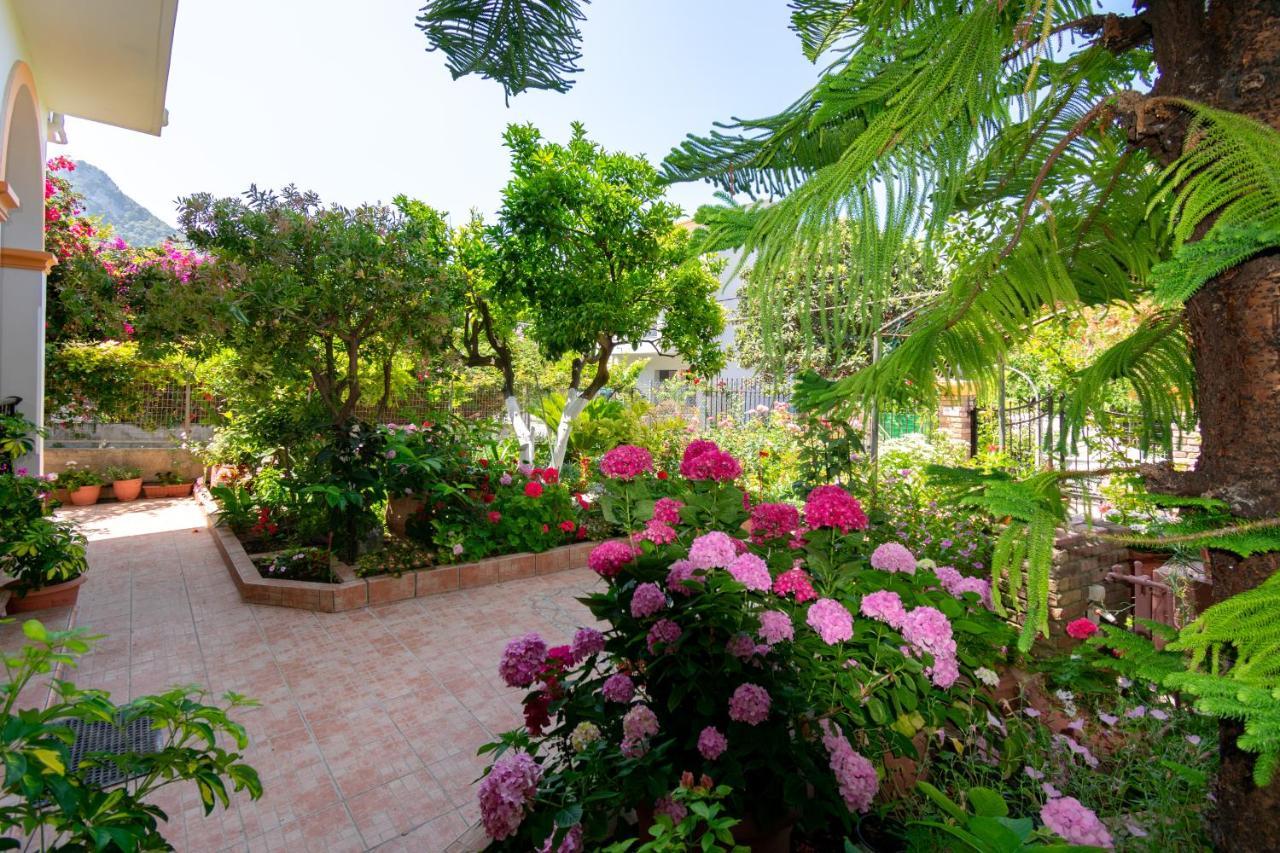 Villa Sophia Apartments By Corfuescapes アギオス・ゴルディオス エクステリア 写真